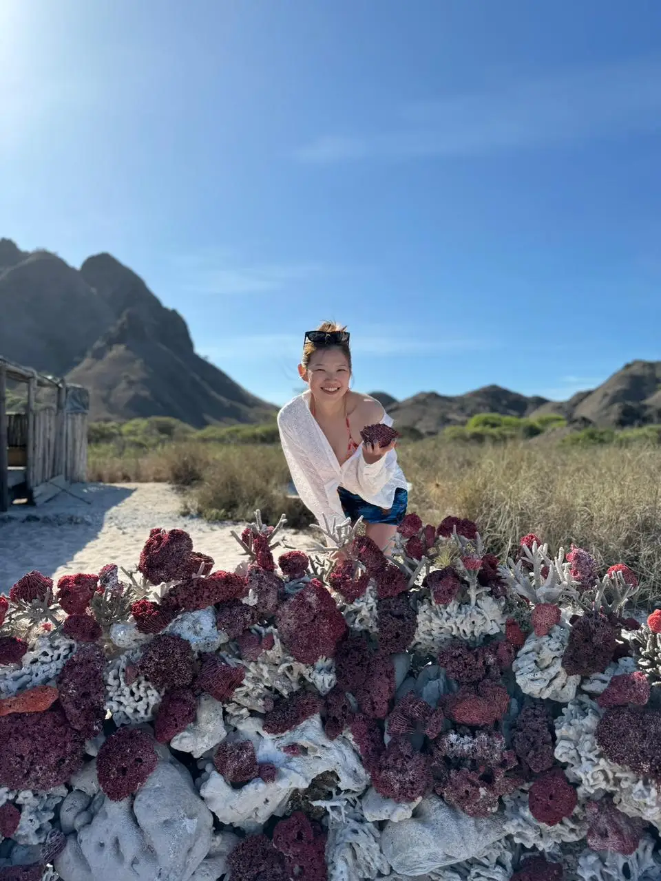 whatsapp image 2024 01 08 at 12.36.23 am