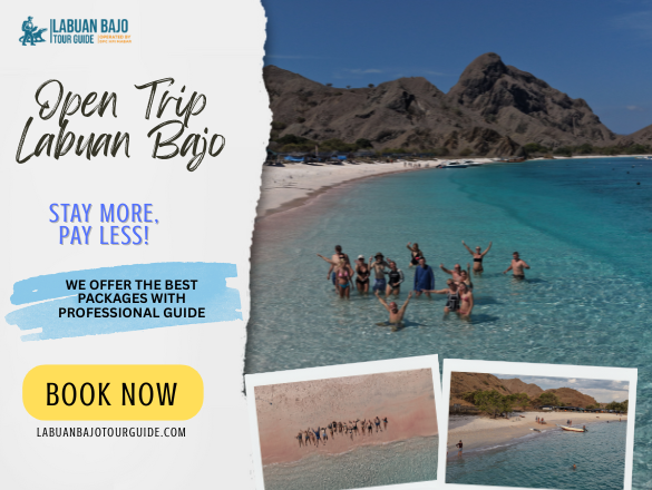 labuan bajo tour guide (15)