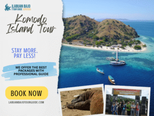 Komodo Island Tour — Enjoy Trekking & Snorkeling Experiences