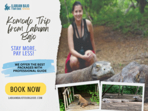 Komodo Trip from Labuan Bajo | Explore the Beauty of Nature