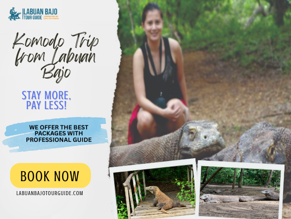 komodo trip from labuan bajo