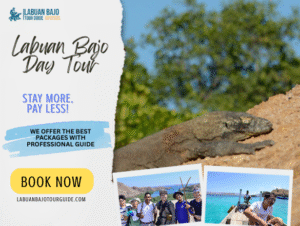 Labuan Bajo Day Tour | Explore Flores Hidden Paradise