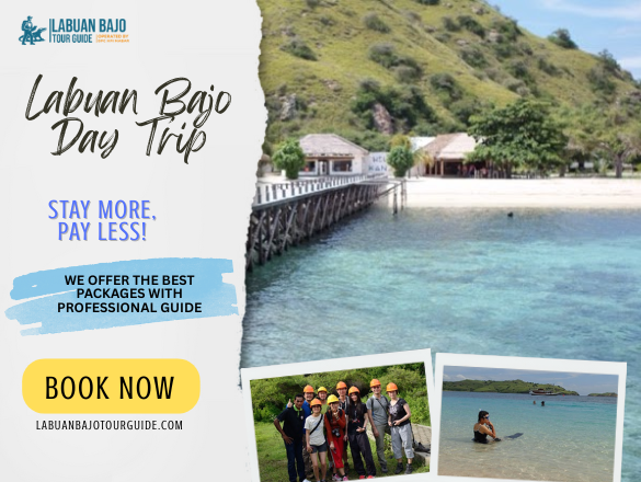 labuan bajo tour guide (21)