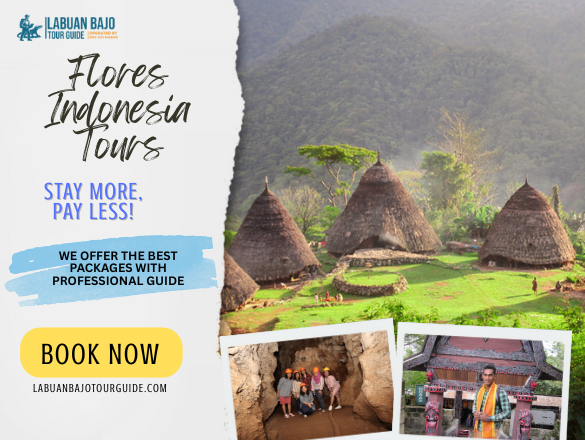 labuan bajo tour guide (23)