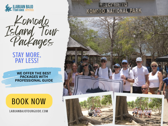 komodo island tour packages