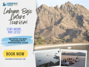 Best Labuan Bajo Nature Tourism Destinations you must visit