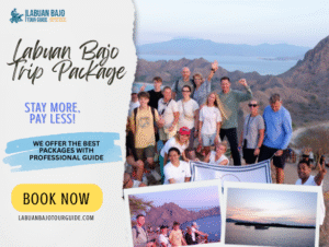 Labuan Bajo Trip Package: Full Day of Adventure in Indonesia