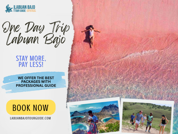 One Day Trip Labuan Bajo – An Unforgettable Day of Adventure One Day Trip Labuan Bajo