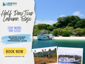 Half Day Tour Labuan Bajo: A Short but Memorable Tour
