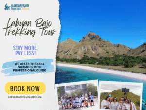 Labuan Bajo Trekking Tour: Flores Nature & Culture Adventure