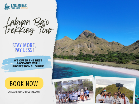Labuan Bajo Trekking Tour: Flores Nature & Culture Adventure labuan bajo tour guide (20)