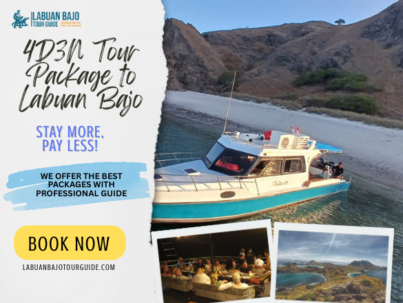 labuan bajo tour guide (21)