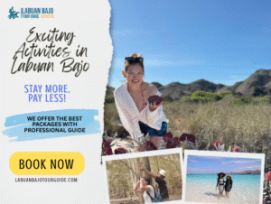 Exciting Activities in Labuan Bajo for Your Next Adventure