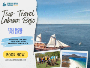 Tour Travel Labuan Bajo | The Best Travel Adventure