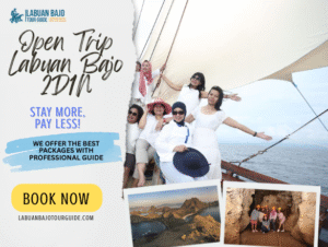 Open Trip Labuan Bajo 2D1N – A Short & Memorable Vacation!