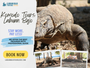 Komodo Tours Labuan Bajo | An Unforgettable Travel Adventure