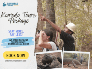 Best Komodo Tours Package for Your Labuan Bajo Vacation
