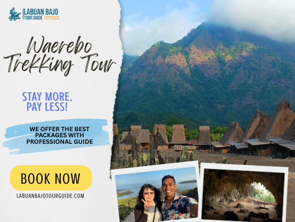 labuan bajo tour guide (31)