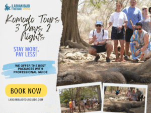 Komodo Tours 3 Days 2 Nights in Komodo National Park