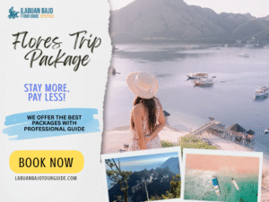 Cheap Flores Trip Package with the Best Facilities