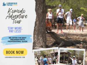 Komodo Adventure Tour | Exploring the Paradise of Komodo