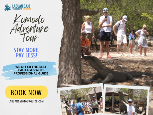 Komodo Adventure Tour