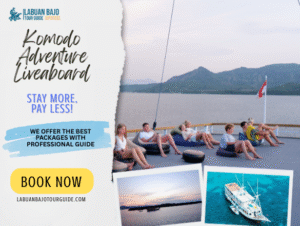 Komodo Adventure Liveaboard: An Unforgettable Adventure