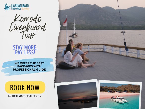 Komodo Liveaboard Tour | Affordable, Comfortable Facilities Komodo Liveaboard Tour