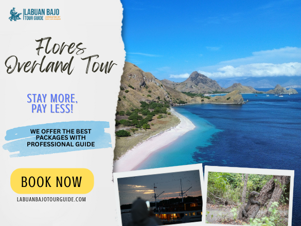 Flores Overland Tour