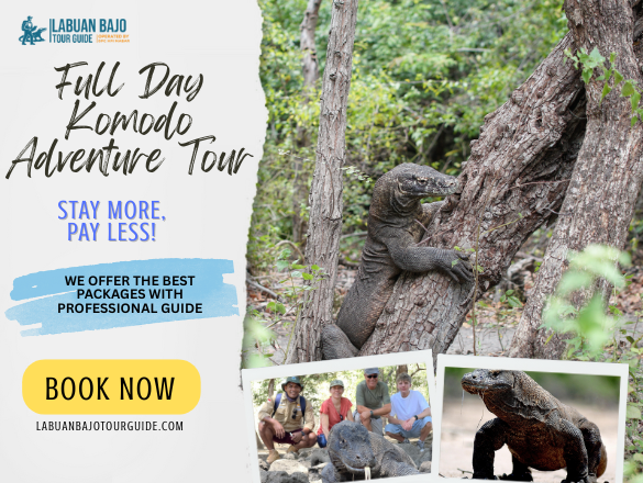 labuan bajo tour guide (43)
