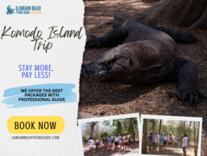 Komodo Island Trip | An Exciting Adventure in Labuan Bajo